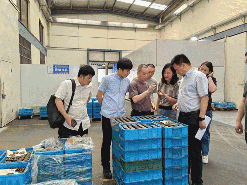 RTO,RCO,RTO焚烧炉,蓄热式焚烧炉